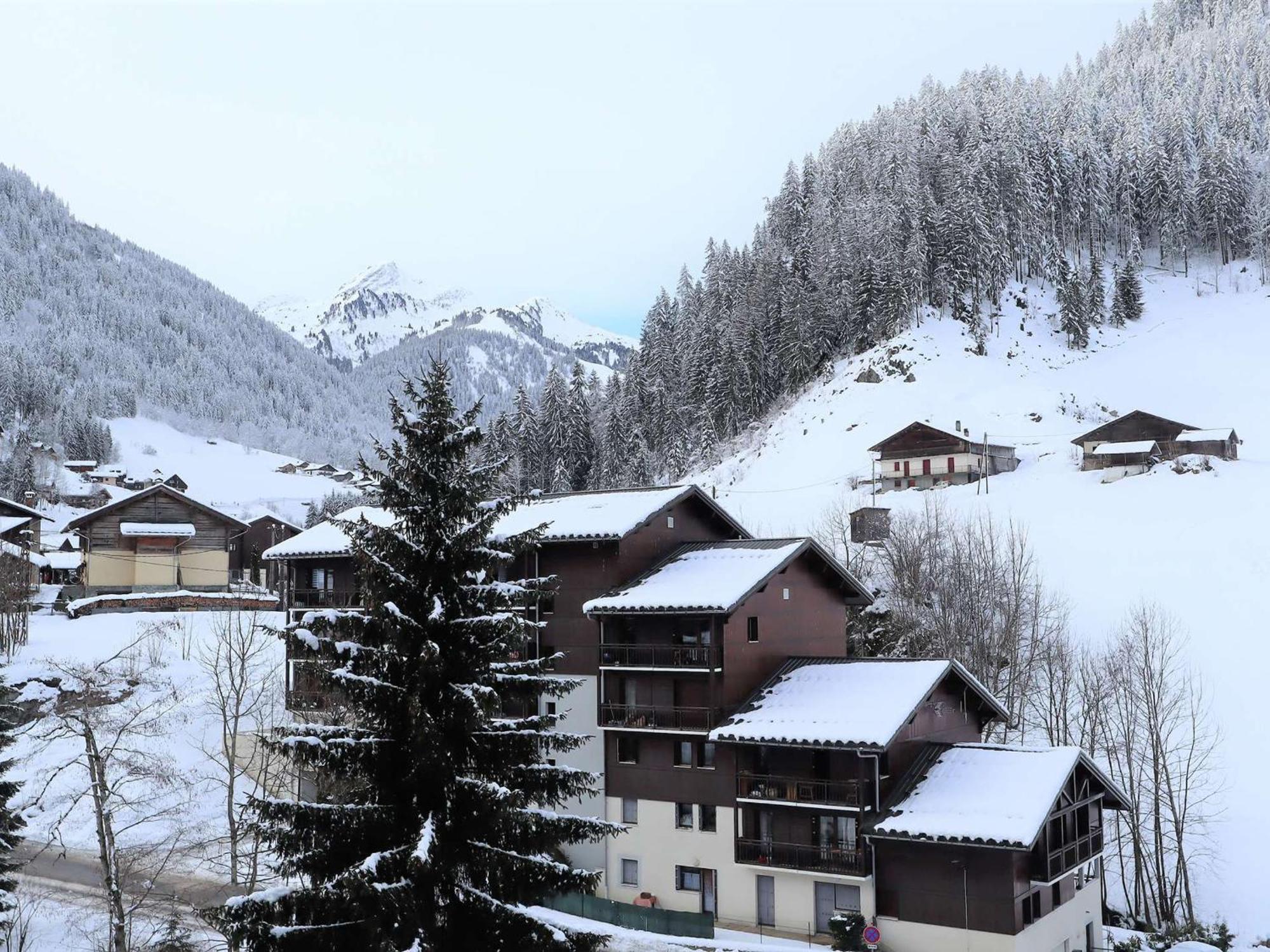 Appartement Cosy Pour 4-5 Personnes, Centre Village, Proche Pistes, Ascenseur, Bien Equipe - Fr-1-342-163 アレッシュ エクステリア 写真